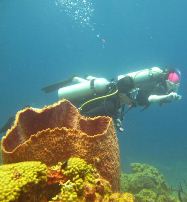 Scuba diving in St-Lucia
